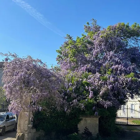Le Grenier Occitan