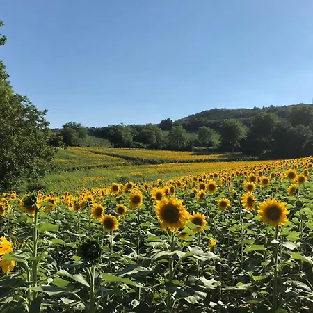 Le Grenier Occitan Nocleg ze śniadaniem Gramazie