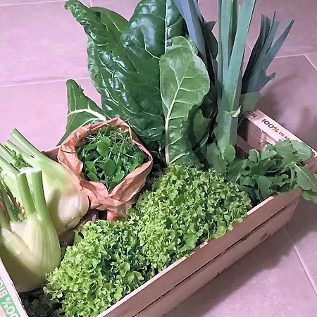 Alojamento de Acomodação e Pequeno-almoço Le Grenier Occitan